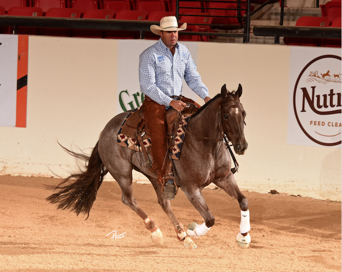 Stylish Marilyn top 10 NRCHA cow horse classic open derby