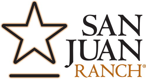 SJR logo header
