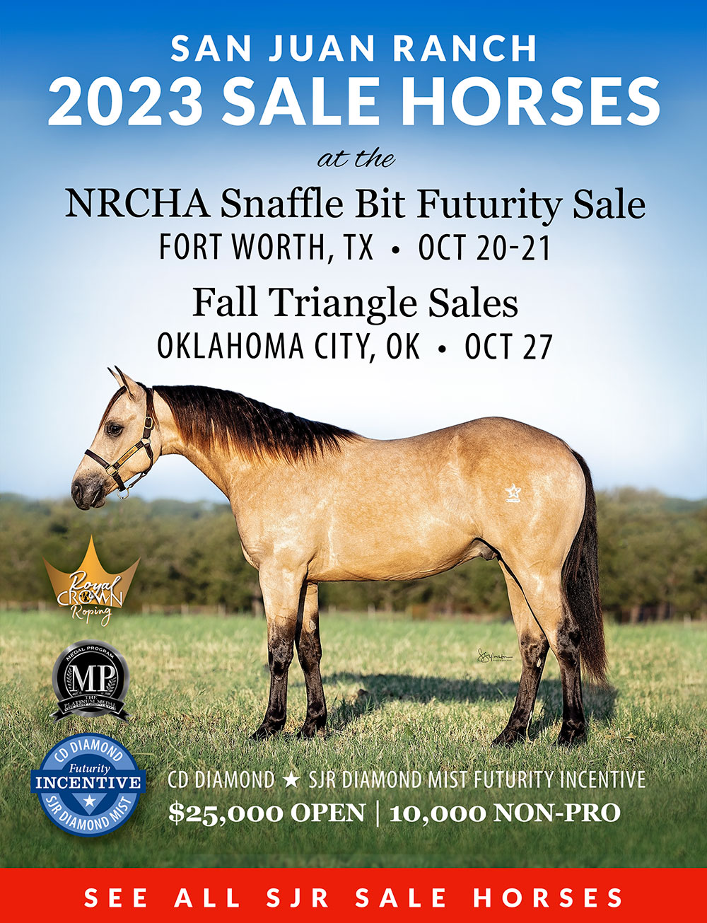 San Juan Ranch Performance Quarter Horses