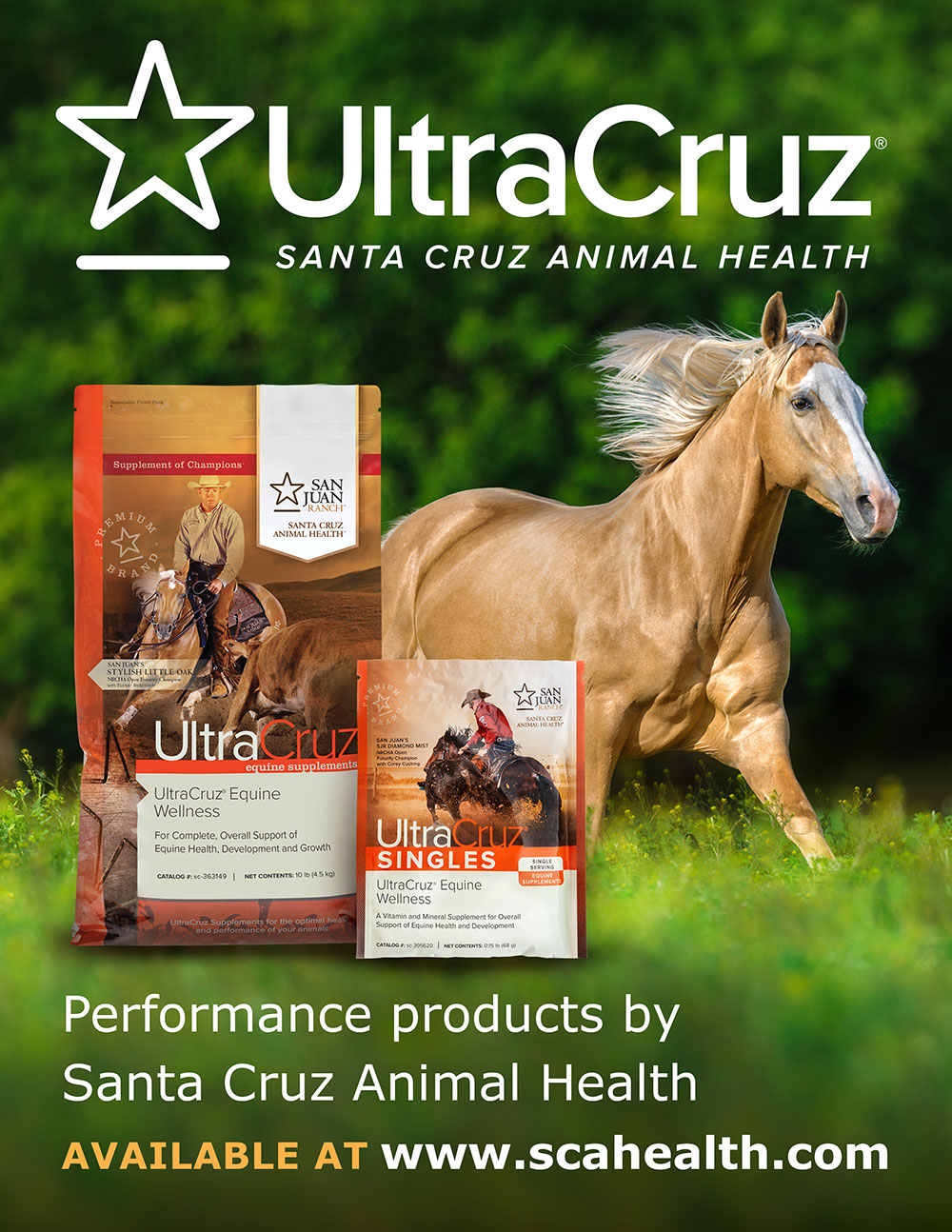 UltraCruz WebBanner