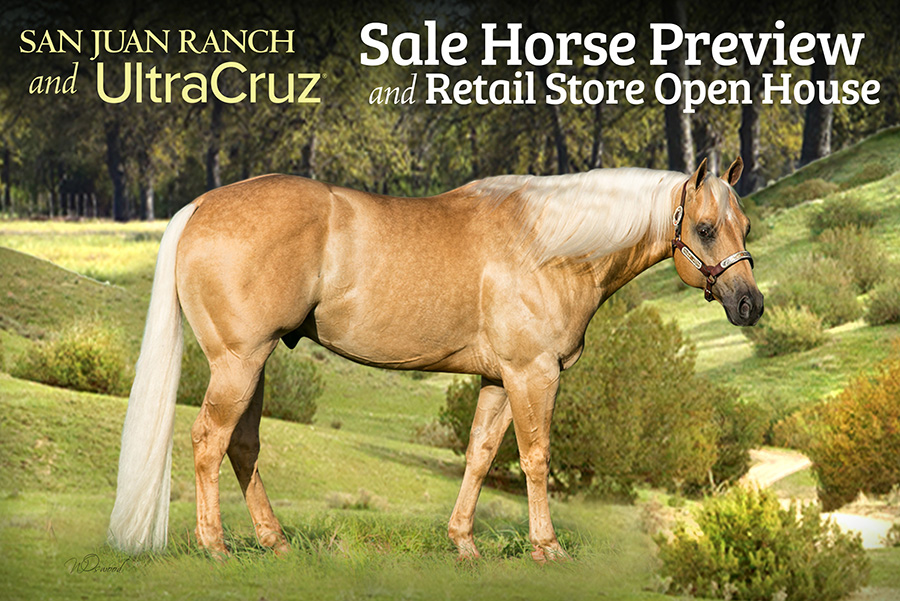 NRCHA Sale Horse Preview